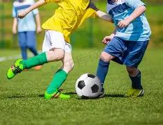 芬兰马术赛,事全靠马粪,发电支撑,爱游戏平台,爱游戏官方网站,爱游戏登录入口,爱游戏app下载