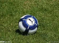 年高中篮球,赛事总结报,精选资料,爱游戏平台,爱游戏官方网站,爱游戏登录入口,爱游戏app下载