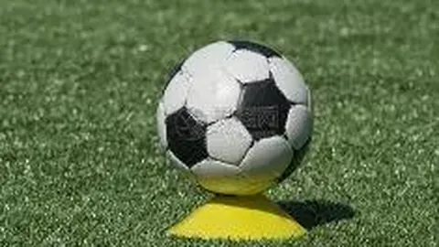 无声岁月，激情赛场——成都市聋人男子篮球队在四川省残运会荣耀夺冠