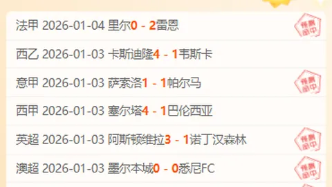 爱游戏 产品 091143 zn9